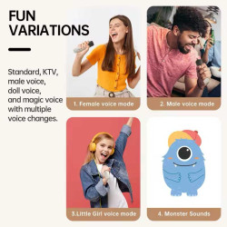 Fineblue W01 Bluetooth Speaker | Karaoke Portable Karaoke HIFI Stereo Speaker
